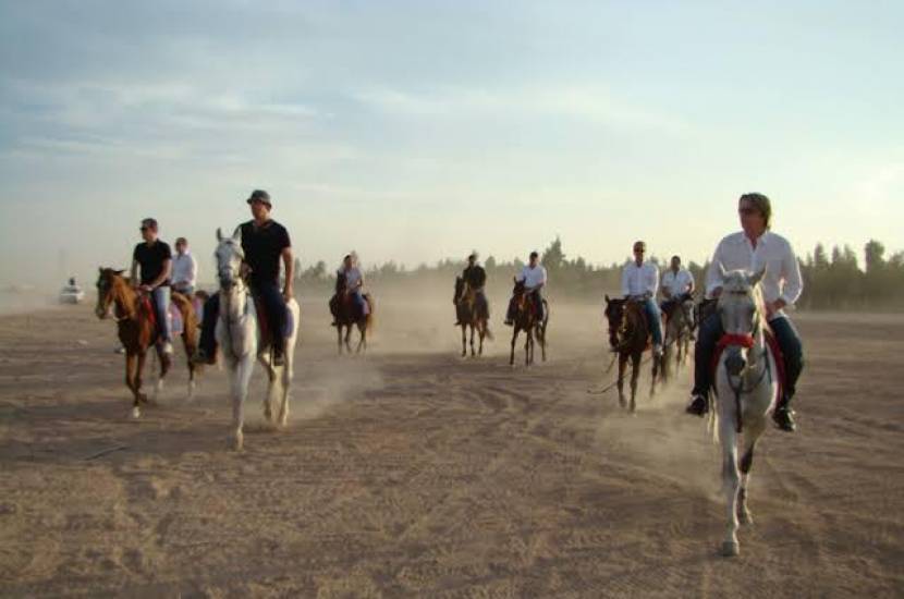 Horse Riding